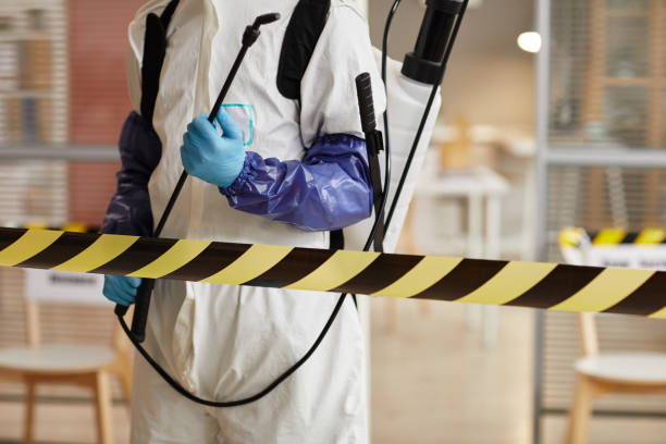 Professional Sewage Cleanup technician working in Decatur, TX